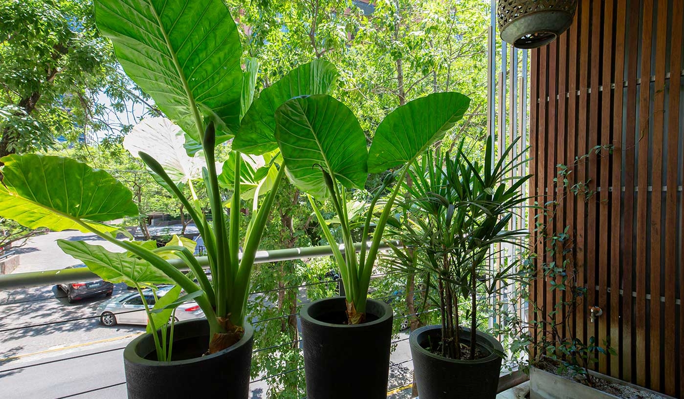 Superb Three Bedroom Apartment with Pool, BBQ, and Gym in Best of Belgrano