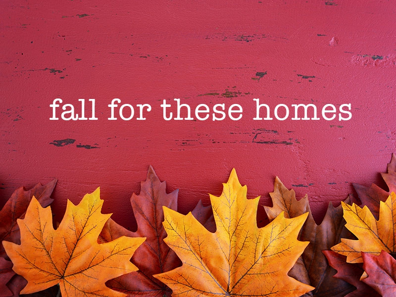 â€‹Top 5 Autumn-perfect Apartments in BA
